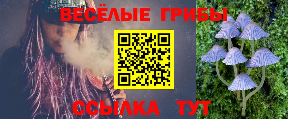 Псилоцибиновые грибы GOLDEN TEACHER  наркотики  Вход с VPN  Рыбинск  Псилоцибиновые грибы мицелий 
